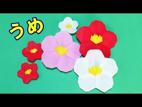 折り紙origami Fan 花 梅の花 の折り方 How To Fold Plum Blossom 親子で遊べる折り紙 Origami Community Explore The Best And The Most Trending Origami Ideas And Easy Origami Tutorial